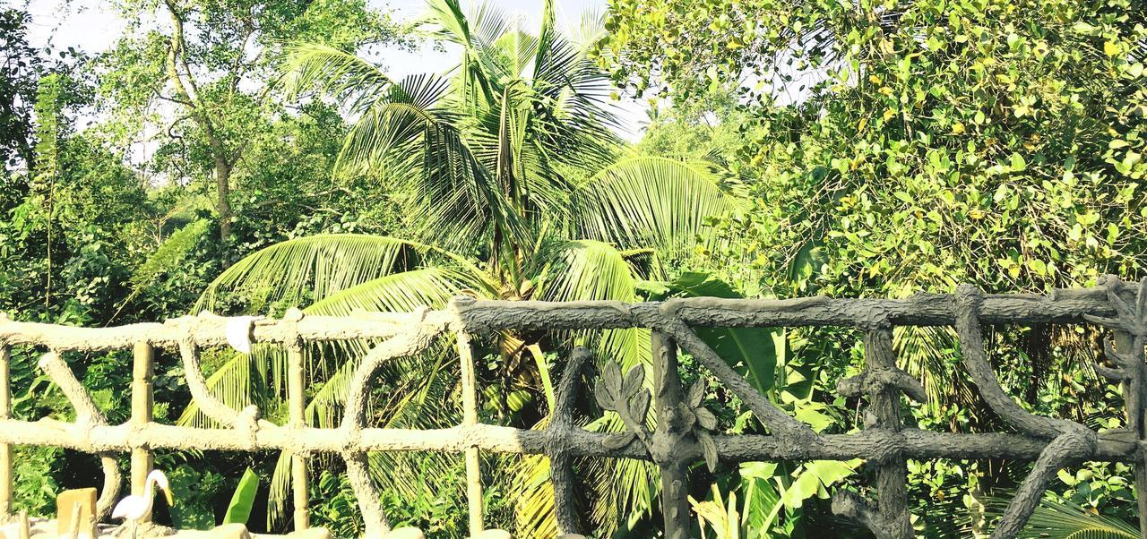 Galle Paradise Inn المظهر الخارجي الصورة