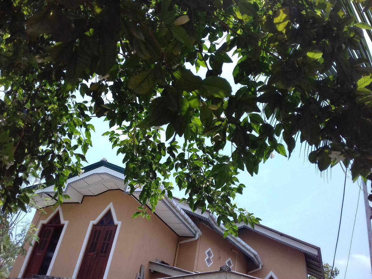 Galle Paradise Inn المظهر الخارجي الصورة